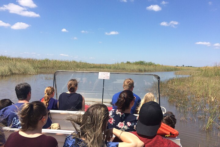 Miami / Port: Everglades Airboat Wildlife Experience - Photo 1 of 19